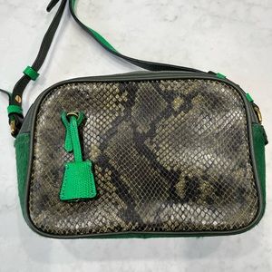 JCrew collection leather camera bag crossbody, unusual colors and textures